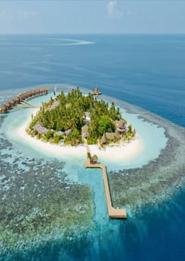 Maldives Tour